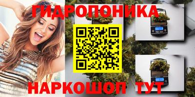 гидра Пенза