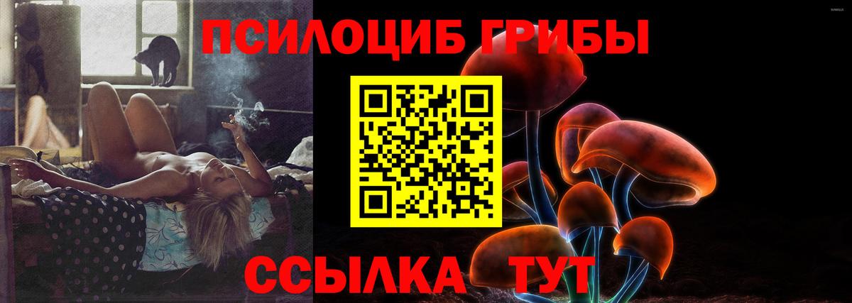 Псилоцибиновые грибы Psilocybe  Галлюциногенные грибы Cubensis  Подольск  Вход с VPN 
